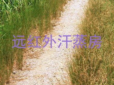 远红外汗蒸房