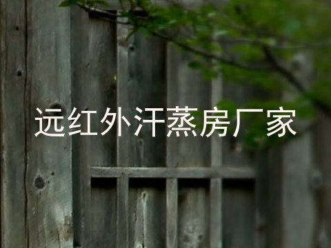 远红外汗蒸房厂家