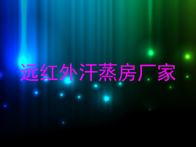 远红外汗蒸房厂家