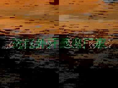 远红外汗蒸房厂家