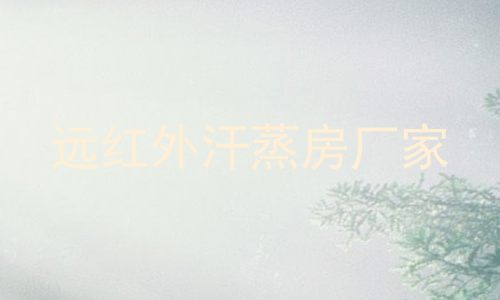 远红外汗蒸房厂家