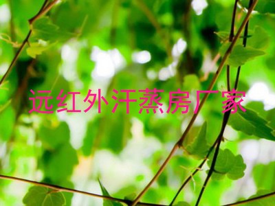 远红外汗蒸房厂家