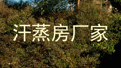 汗蒸房厂家
