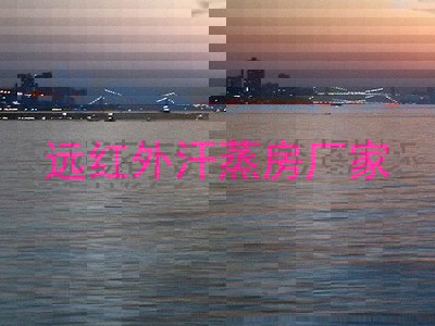 远红外汗蒸房厂家