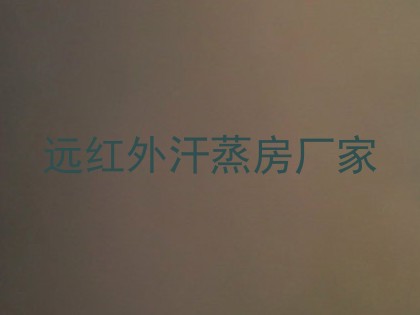 远红外汗蒸房厂家