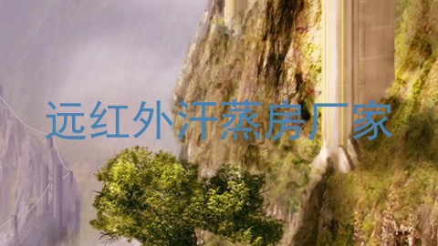 远红外汗蒸房厂家