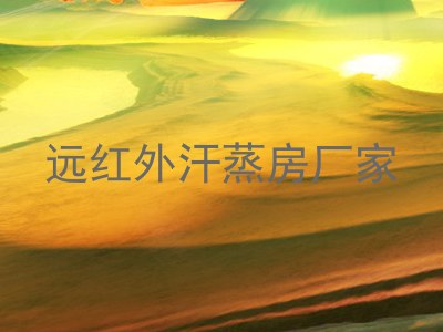 远红外汗蒸房厂家