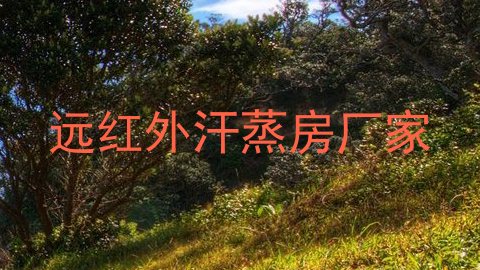 远红外汗蒸房厂家