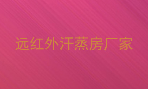 远红外汗蒸房厂家