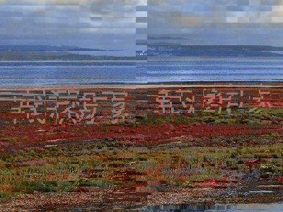 韩式汗蒸房厂家