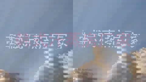 韩式汗蒸房厂家