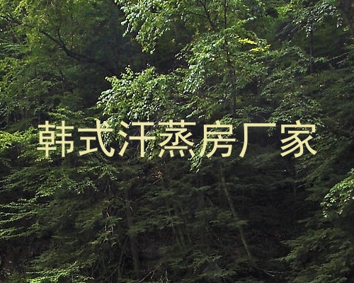 韩式汗蒸房厂家