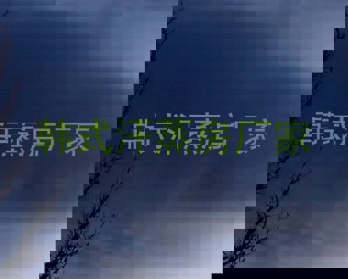 韩式汗蒸房厂家