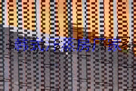 韩式汗蒸房厂家