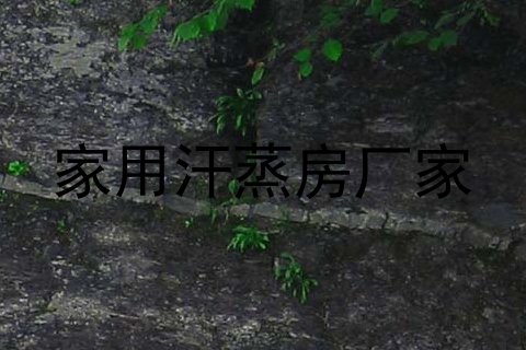 家用汗蒸房厂家