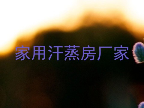 家用汗蒸房厂家