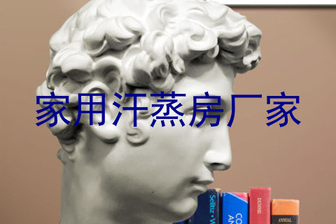 家用汗蒸房厂家