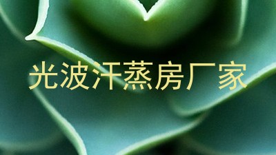 光波汗蒸房厂家