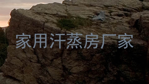 家用汗蒸房厂家