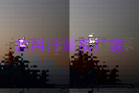 家用汗蒸房厂家