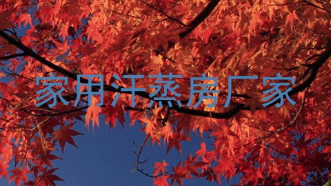 家用汗蒸房厂家