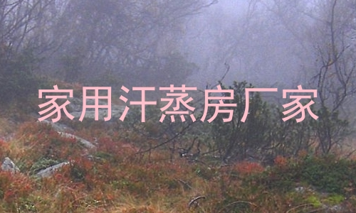 家用汗蒸房厂家