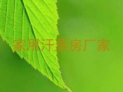 家用汗蒸房厂家