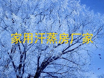 家用汗蒸房厂家