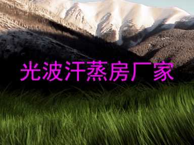 光波汗蒸房厂家