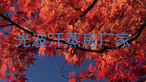 光波汗蒸房厂家