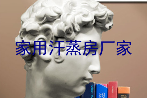 家用汗蒸房厂家