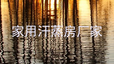 家用汗蒸房厂家