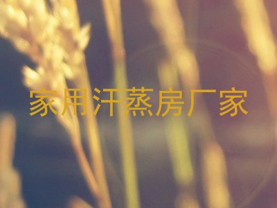 家用汗蒸房厂家