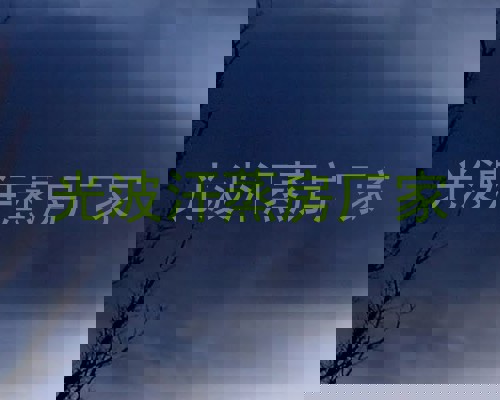 光波汗蒸房厂家