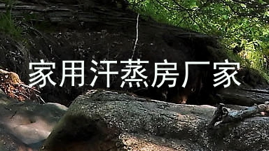 家用汗蒸房厂家