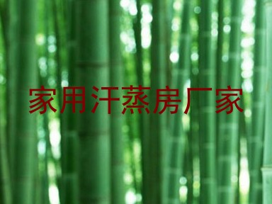 家用汗蒸房厂家