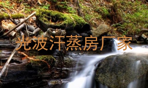 光波汗蒸房厂家