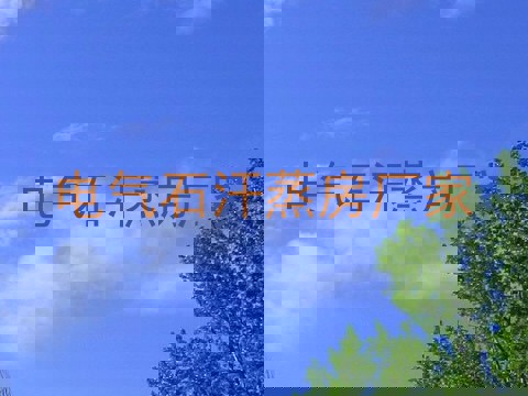 电气石汗蒸房厂家