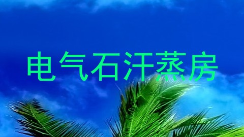 电气石汗蒸房