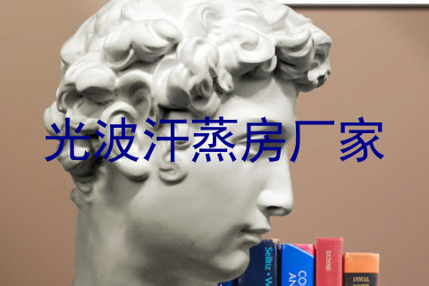 光波汗蒸房厂家