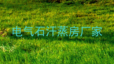 电气石汗蒸房厂家