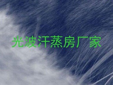 光波汗蒸房厂家