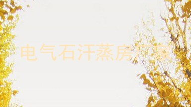 电气石汗蒸房厂家