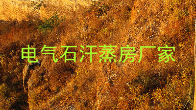 电气石汗蒸房厂家