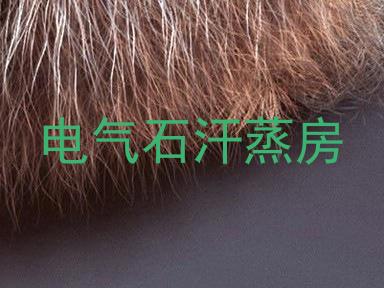 电气石汗蒸房