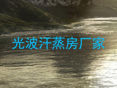 光波汗蒸房厂家