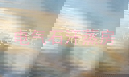电气石汗蒸房
