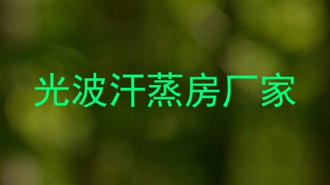 光波汗蒸房厂家