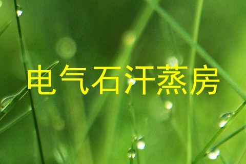 电气石汗蒸房