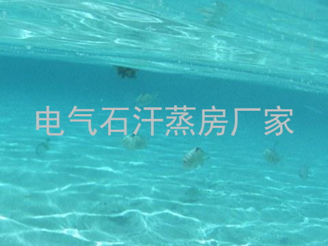 电气石汗蒸房厂家